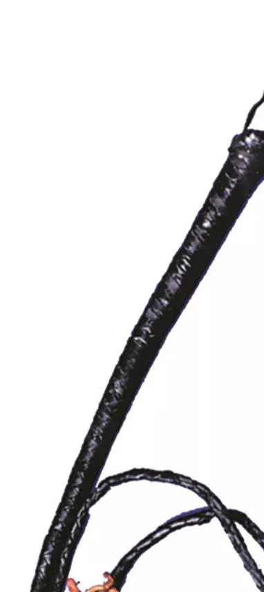 Bull Whip 6ft Costume Accessory