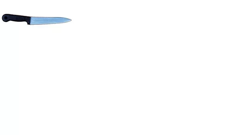 Butcher Knife Costume Accessory